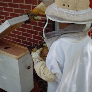 Meet your Posher, Shana